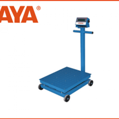 DL系列--電子臺秤