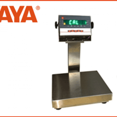 EZS系列--防水防腐小剛秤